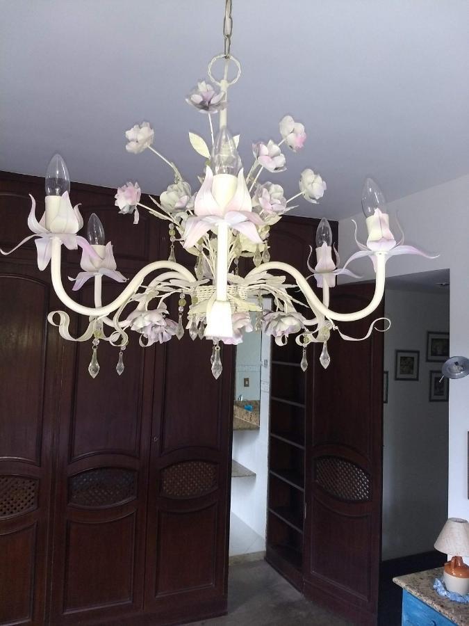 Suites em meio a Mata Atlântica Itaipava Extérieur photo