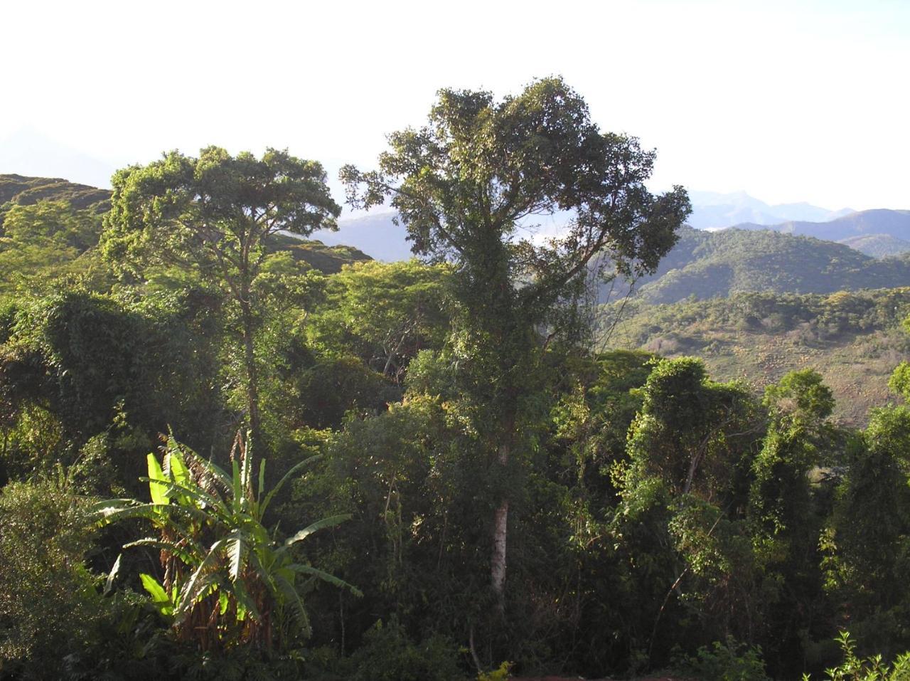 Suites em meio a Mata Atlântica Itaipava Extérieur photo
